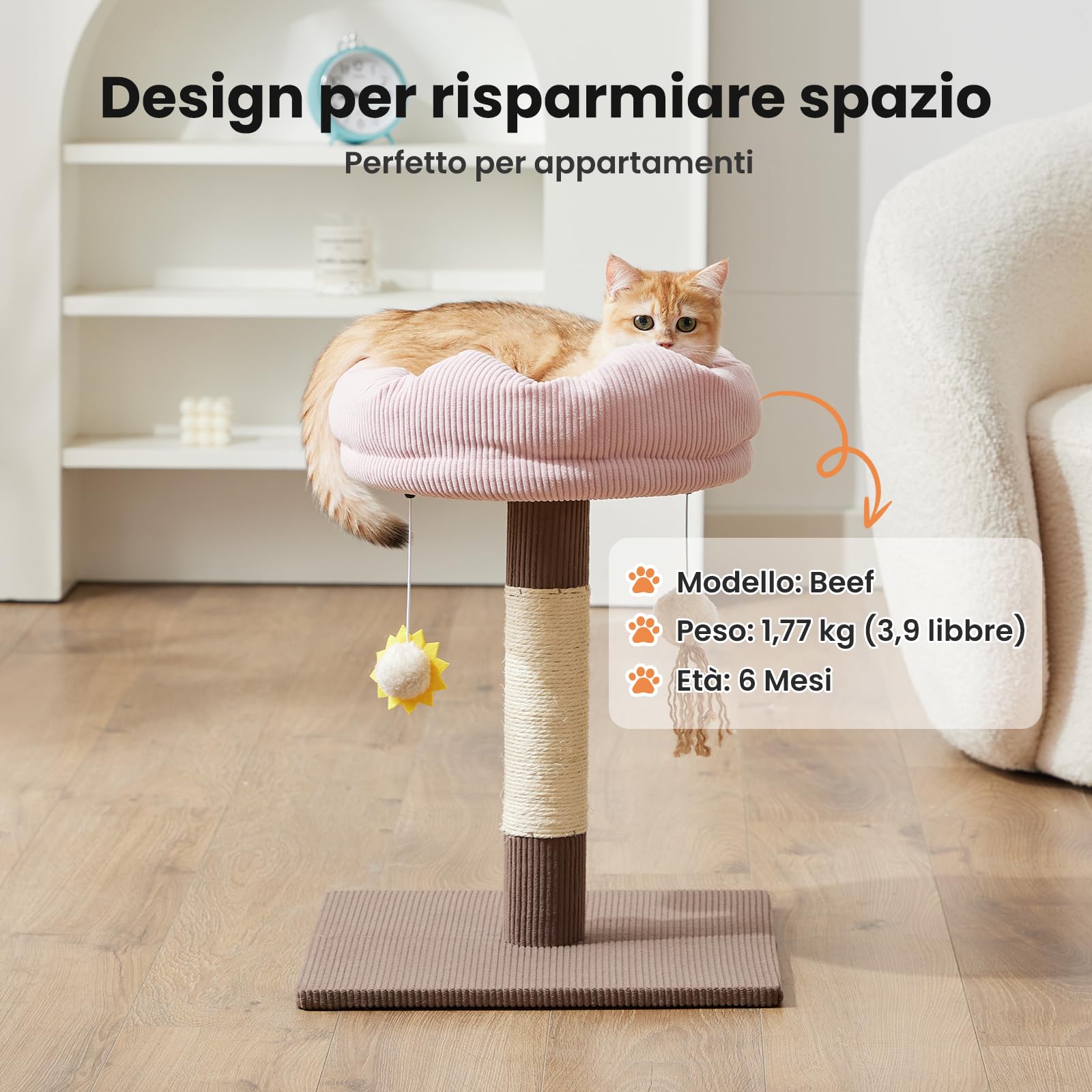 Gardner Pet 50cm Tiragraffi per Gatto, Piccolo Albero per Gattini e Gatti Interni, Rivestimento Rimovibile, Colonna in Sisal, con Giocattolo, Stabile, Marrone, Forma Semicircolare