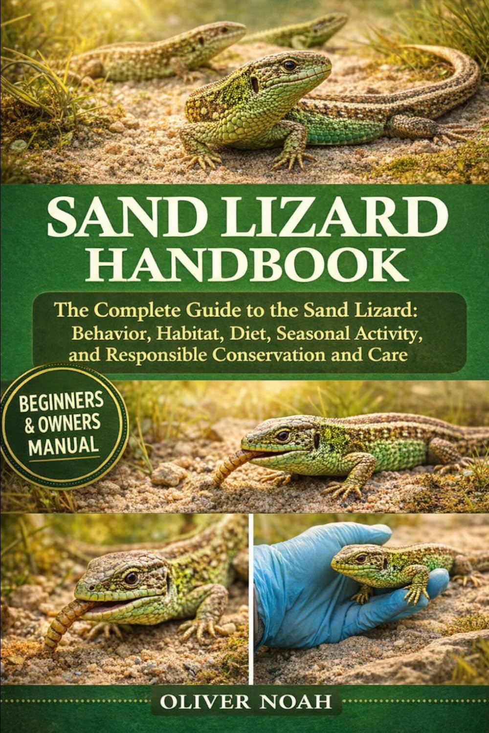 SAND LIZARD HANDBOOK: The Complete Guide to the Sand Lizard: Behavior, Habitat, Diet, Seasonal Activity, and Responsible Conservation and Care