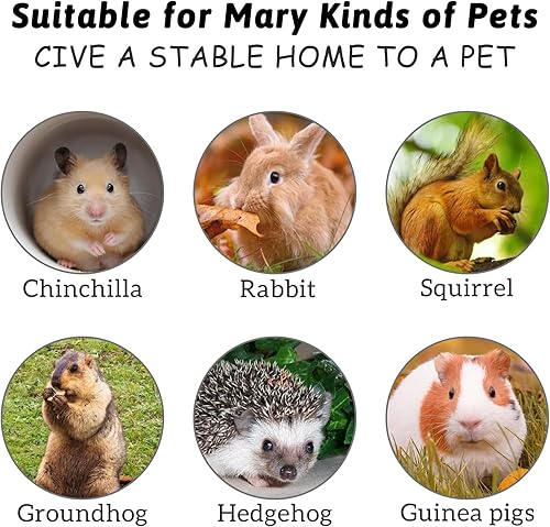 Miniatura 6 de Hamiledyi Almohadillas para pies de conejo, 4 piezas de piedra de dientes de lava de animales pequeños para conejos, hámster, cobayas, ratas,