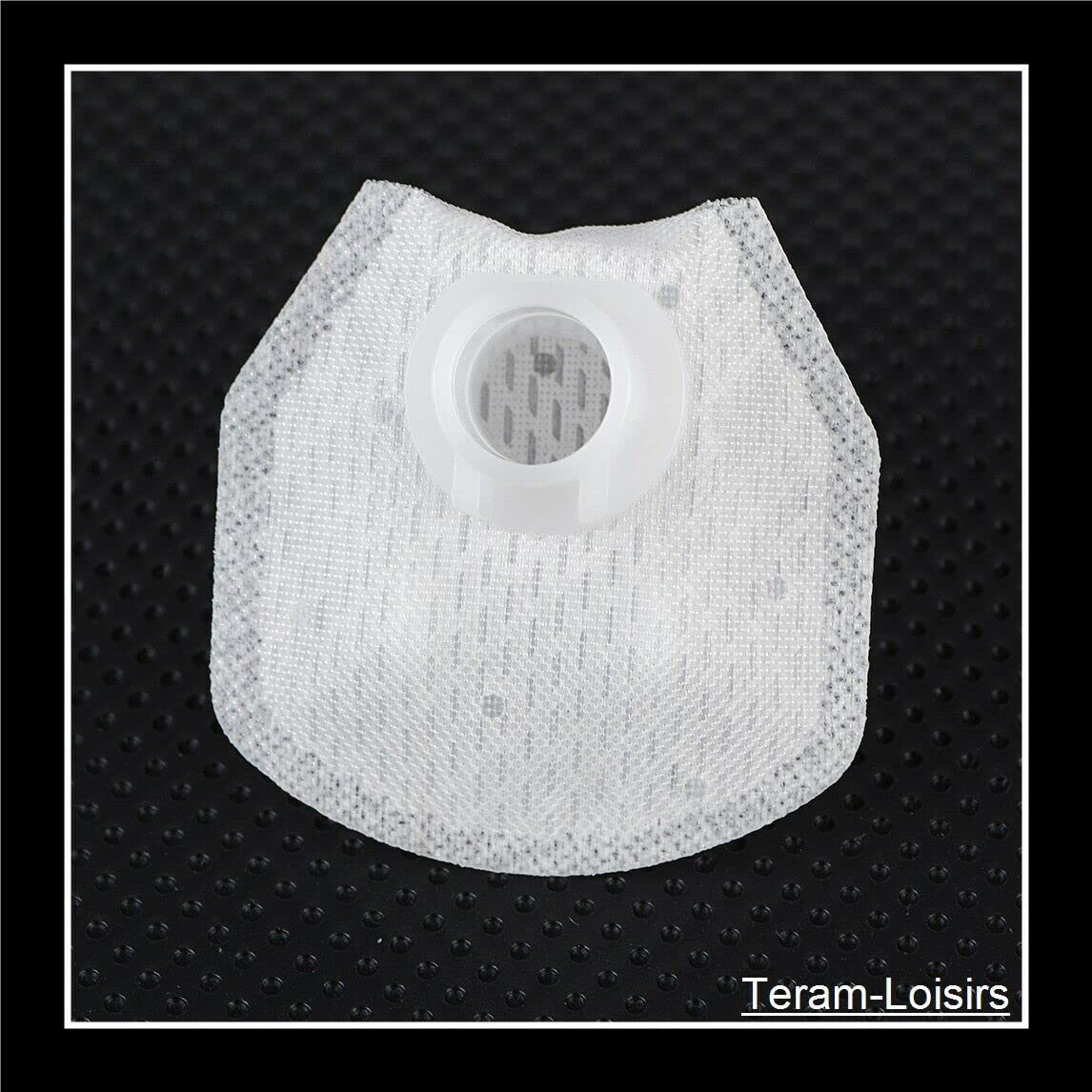 TERAM LOISIRS Filtre Pompe à Essence Compatible pour Suzuki GSF 1250 Bandit 1250 de 2007 à 2016 Neuf France