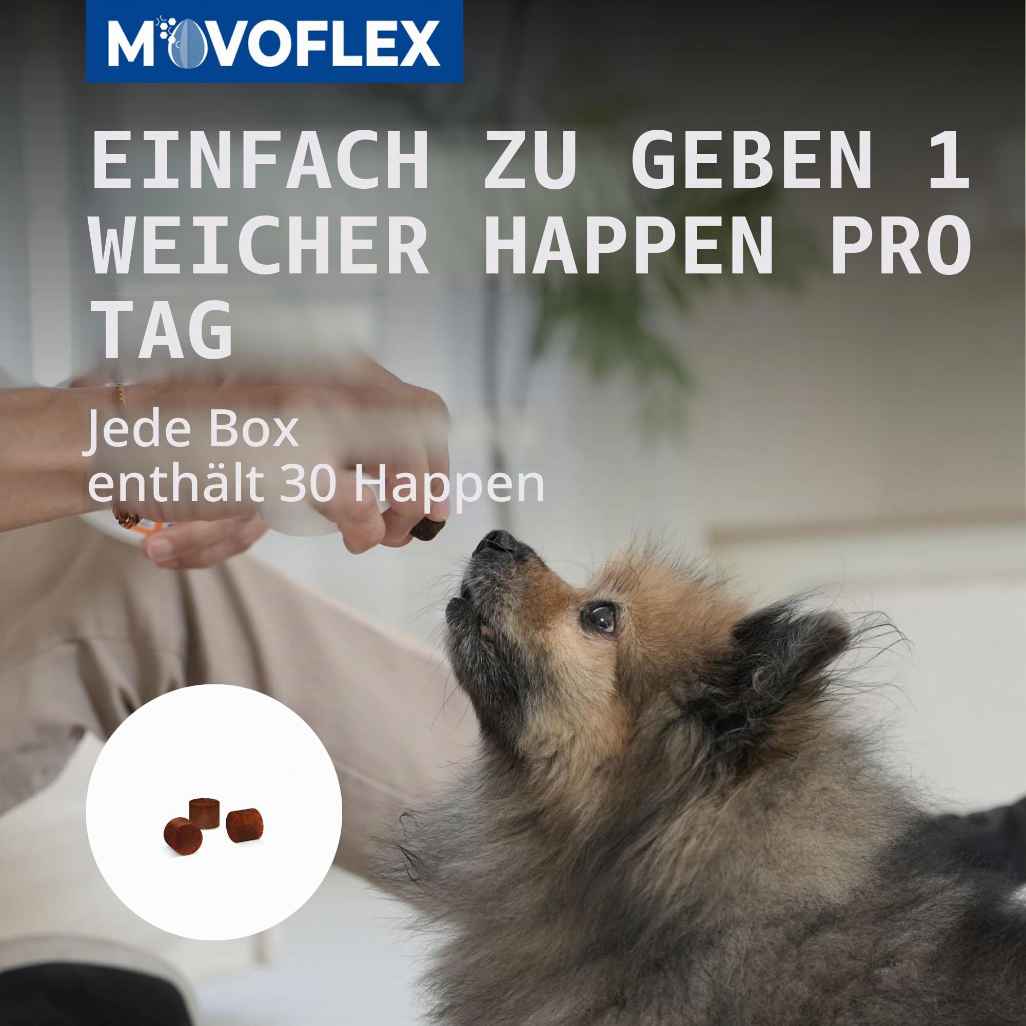 Movoflex Soft Chews | 30 Stück | für Hunde unter 15 kg | Ergänzungsfuttermittel für Gelenkgesundheit | Zur Erhaltung der Gelenkstrukturen | Mit Hyaluronsäure
