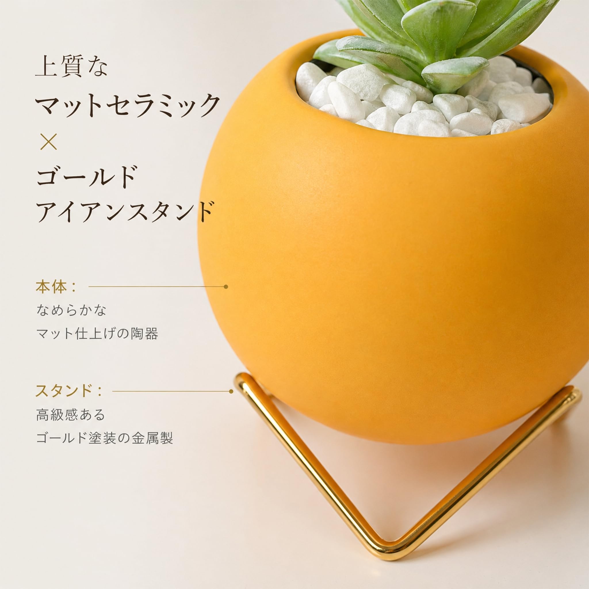 Amazon.co.jp: Queen-b 多肉植物 ミニ プランター かわいい おしゃれ