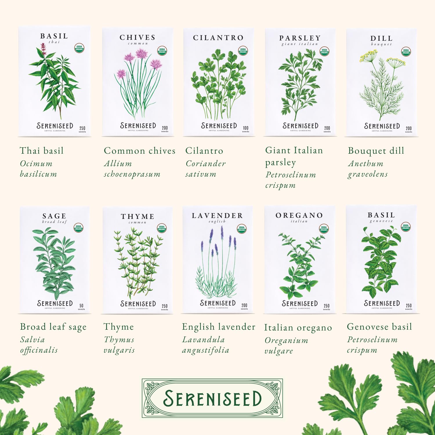Organic Herb Seeds - Grow Your Own Kitchen Herbs -6 Organic Herb Seeds - Grow Your Own Kitchen Herbs -6