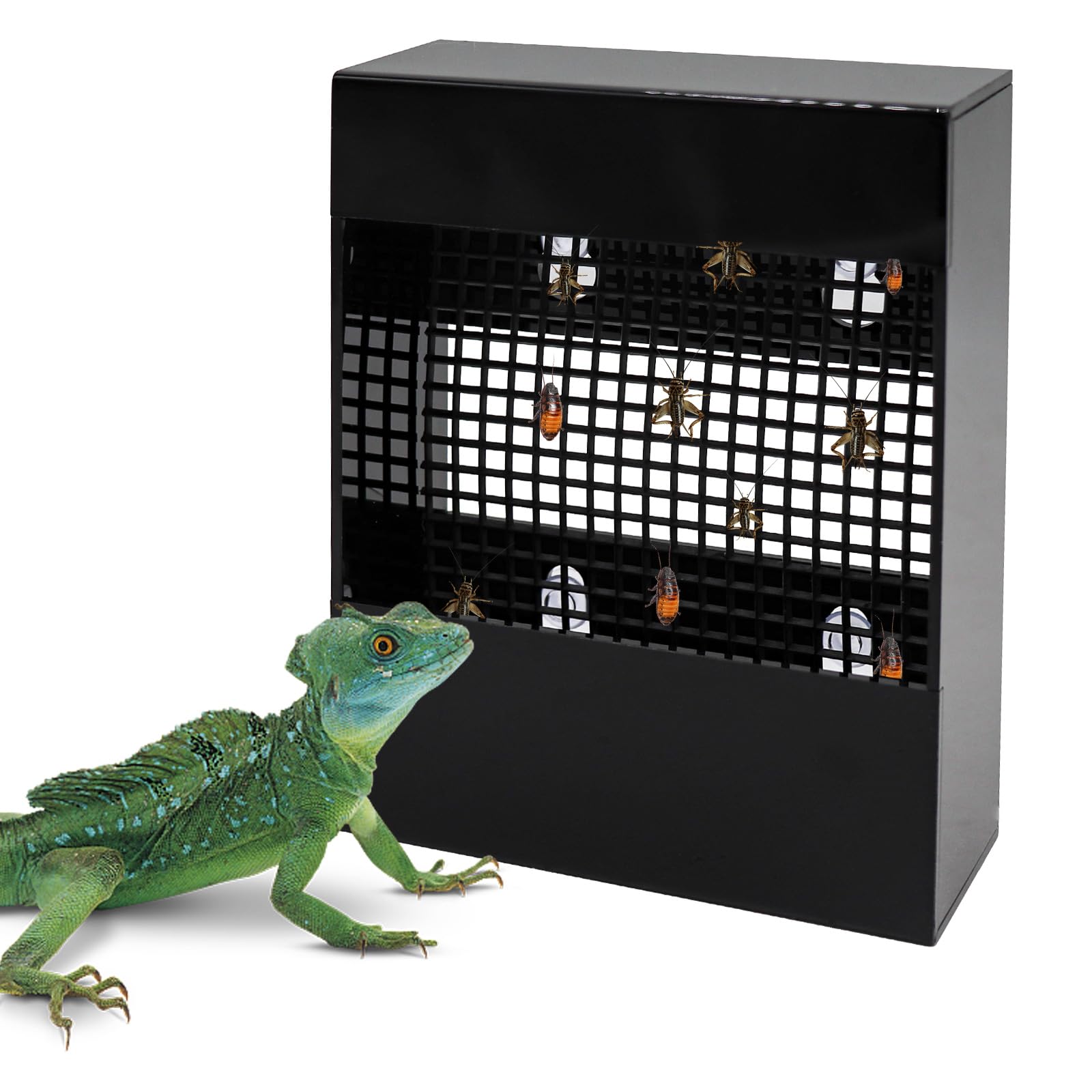 Chameleon Feeder, Bearded Dragon Bug Bowl, Black Acrylic Reptile Feeding Box, Wall-Mounted Insect Feeder with Suction Cups, Tank and Aquarium Accessories for Lizard Bearded Dragon Gecko