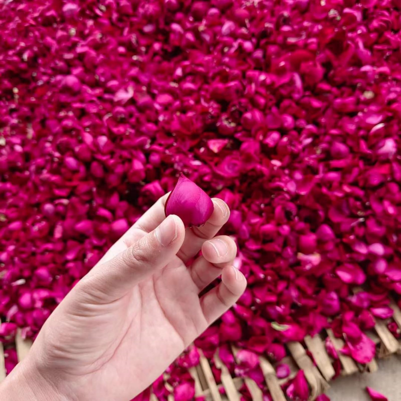 Pétales De Rose Séchés 100g - Confettis Naturels Pour Mariage Ou Décoration