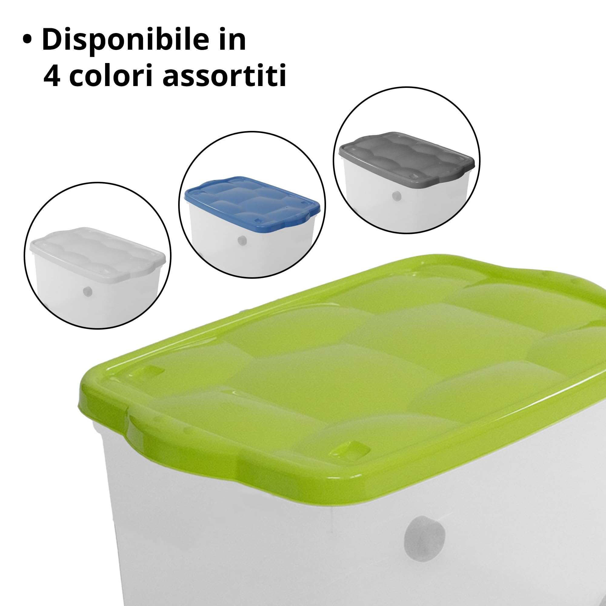 Sicignano | Mehrzweck-Aufbewahrungsbox mit Deckel in verschiedenen Farben, transparenter Kunststoff, stapelbar, rechteckig - für Wohnzimmer, Schlafzimmer, Kleidung (55 l, 2)