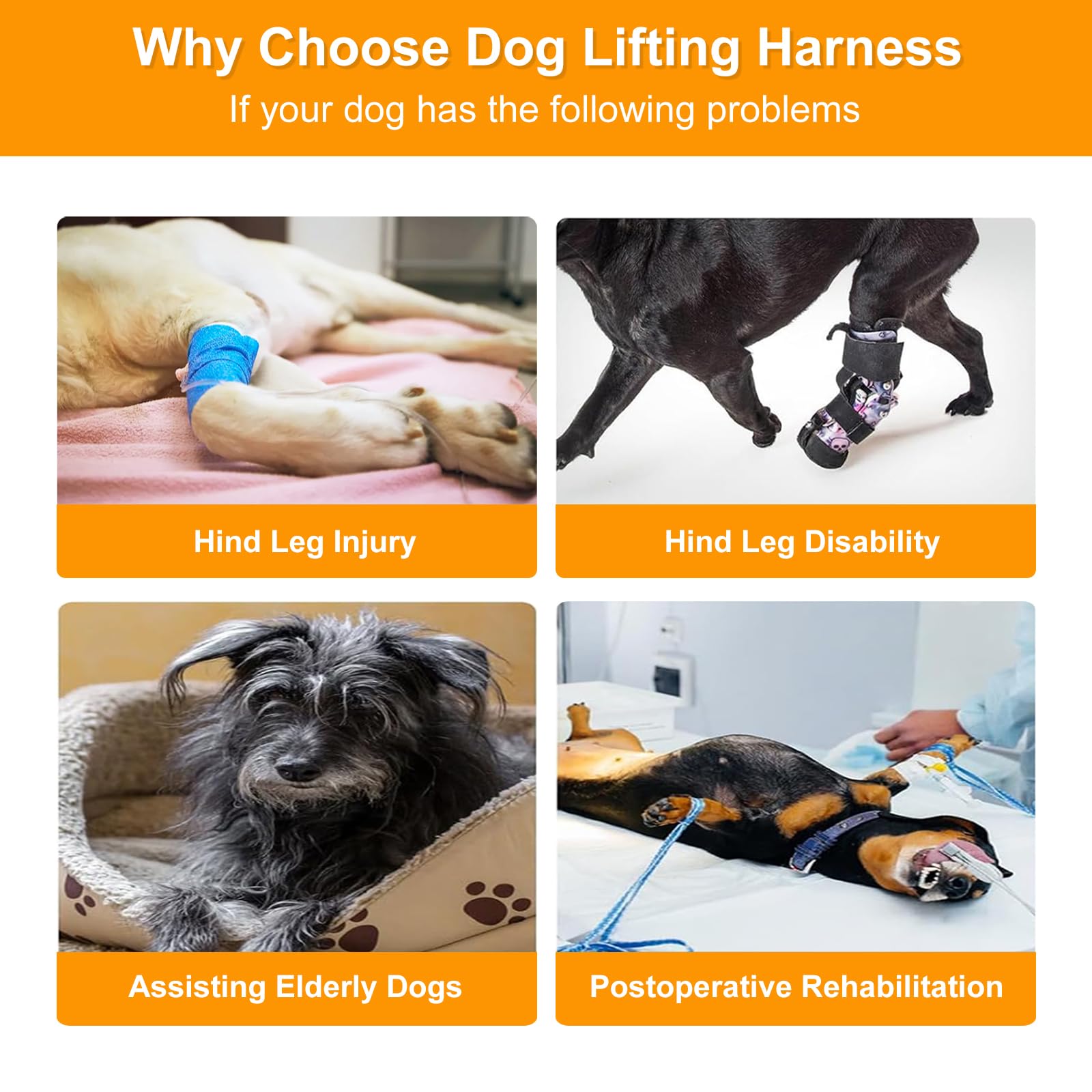 Dog Lifting Harness,Dog Support Harness Slings for Back Legs,Adjustable Assistance Support Strap for Injured,Disabled,Elderly Dogs (M) - Image 3