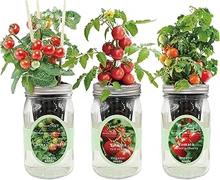 Environet Hydroponic Mason Jar Indoor Garden Organic Seed Starter Kits -...