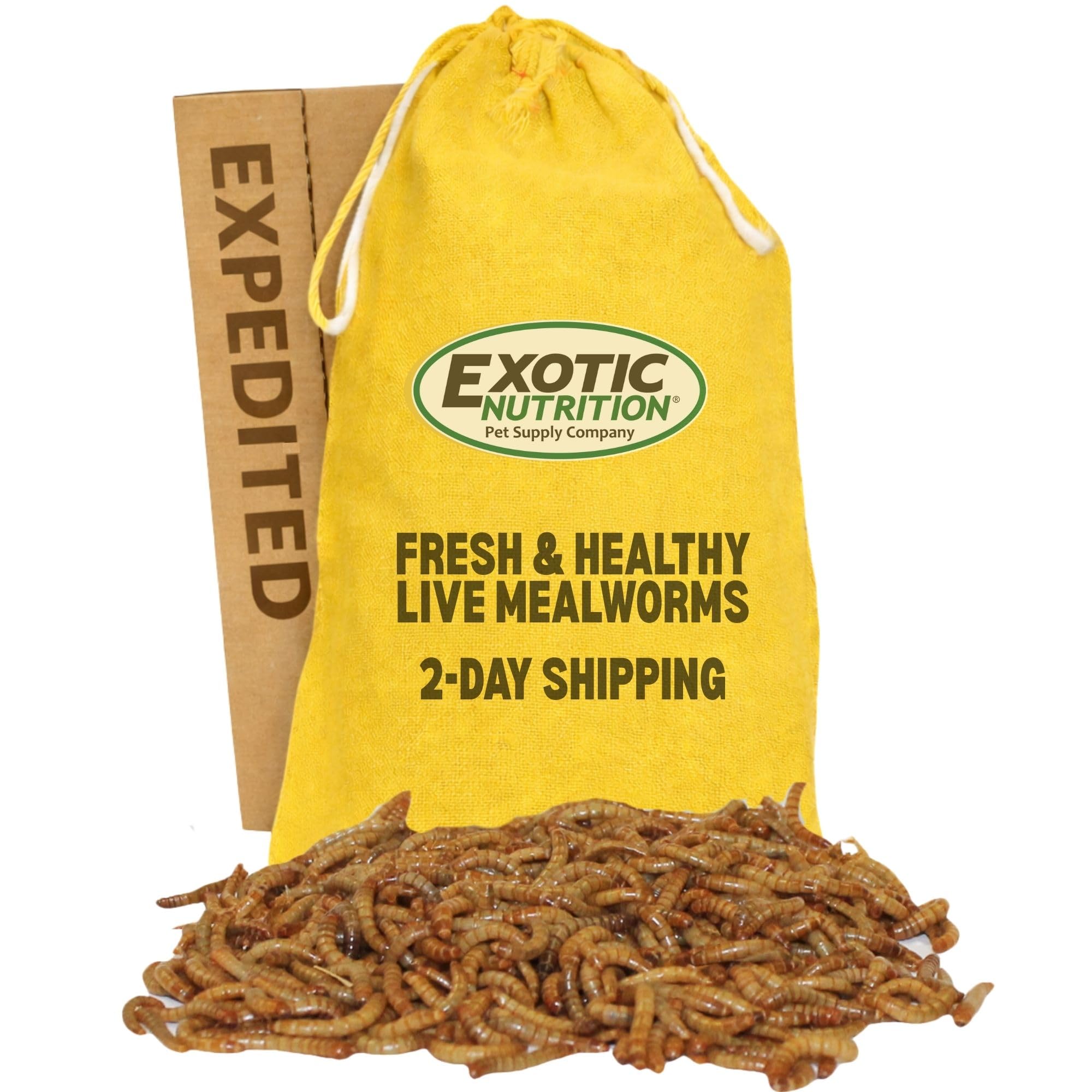 Exotic Nutrition Large Live Mealworms (3/4") (1000 Pack) - 2