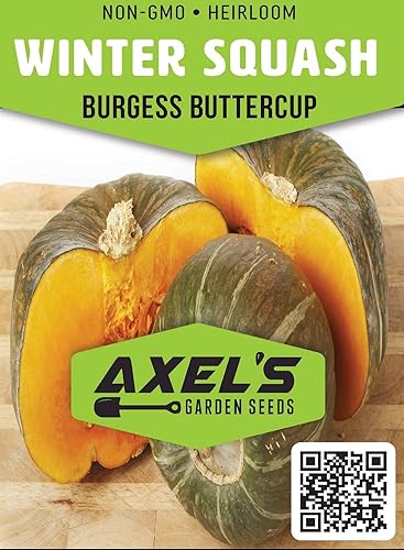 Miniatura 2 de Semillas de calabaza de invierno para plantar  Planta y cultivar calabaza ranúnculo Burgess  Instrucciones para plantar herencia sin OMG en casa
