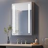 Dripex Bathroom Mirror Cabinet with LED Lights, 600  800mm Illuminated LED Bathroom Mirror Cabinet with Shaver Socket Dimmable Switch 3 Colors and Demister Pad,Grey