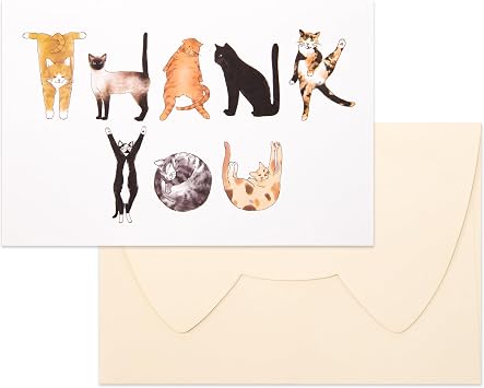 Crisky 25PCS Funny Cat Thank You Cards Cut Adorable Alphabet Kitty Cats Notes Bulk with Envelopes for Him or Her Suit All Occasion