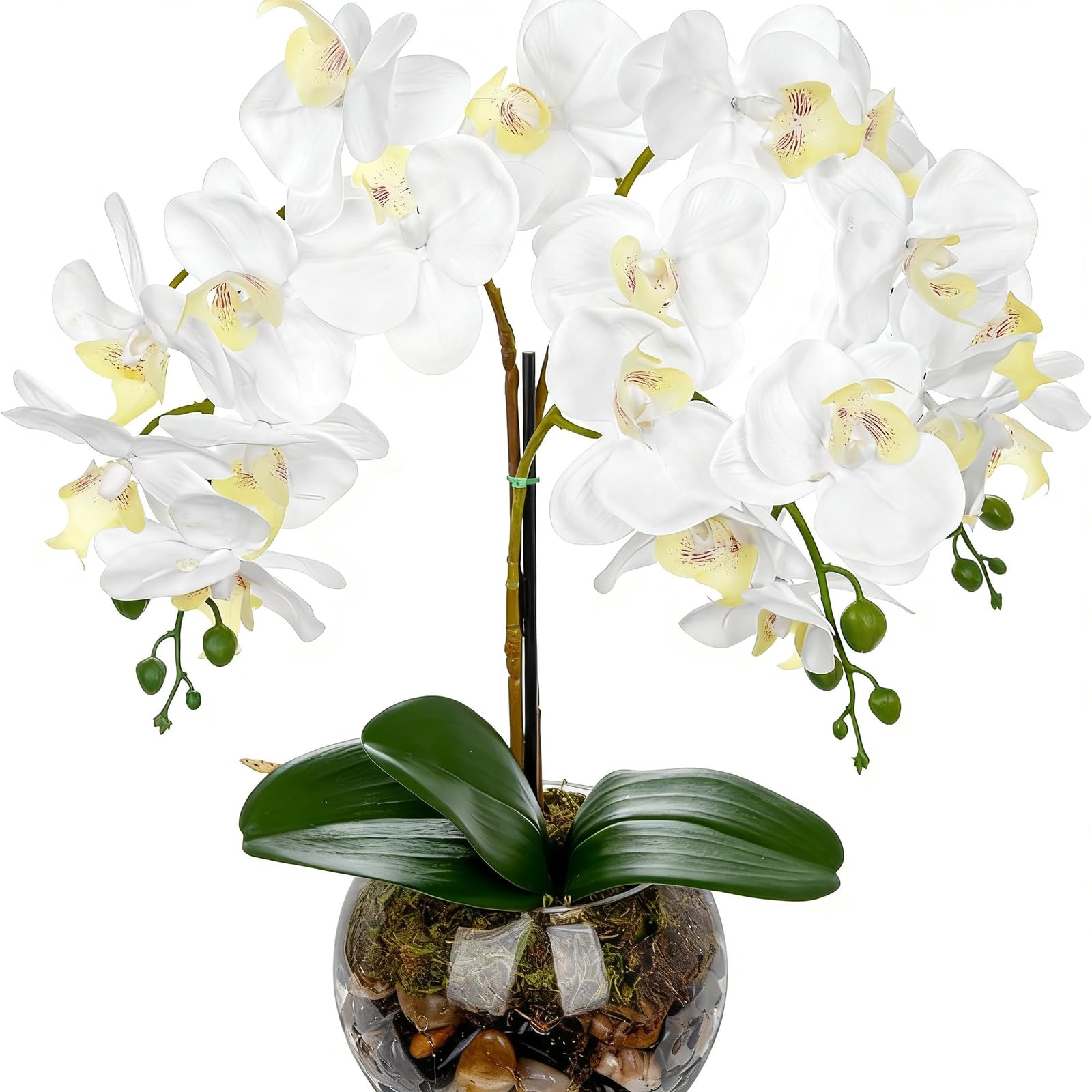 KTUXZCI Artificial Orchids Look Real With Lifelike Flowers Enhancing Home Decor Effortlessly Any Occasion Is Gift
