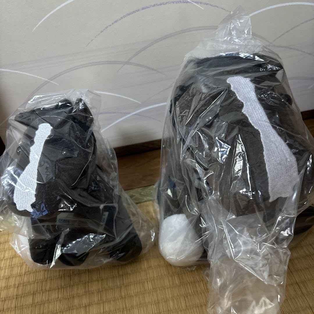 Amazon.co.jp: イクイノックス アイドルホース ドバイシーマ