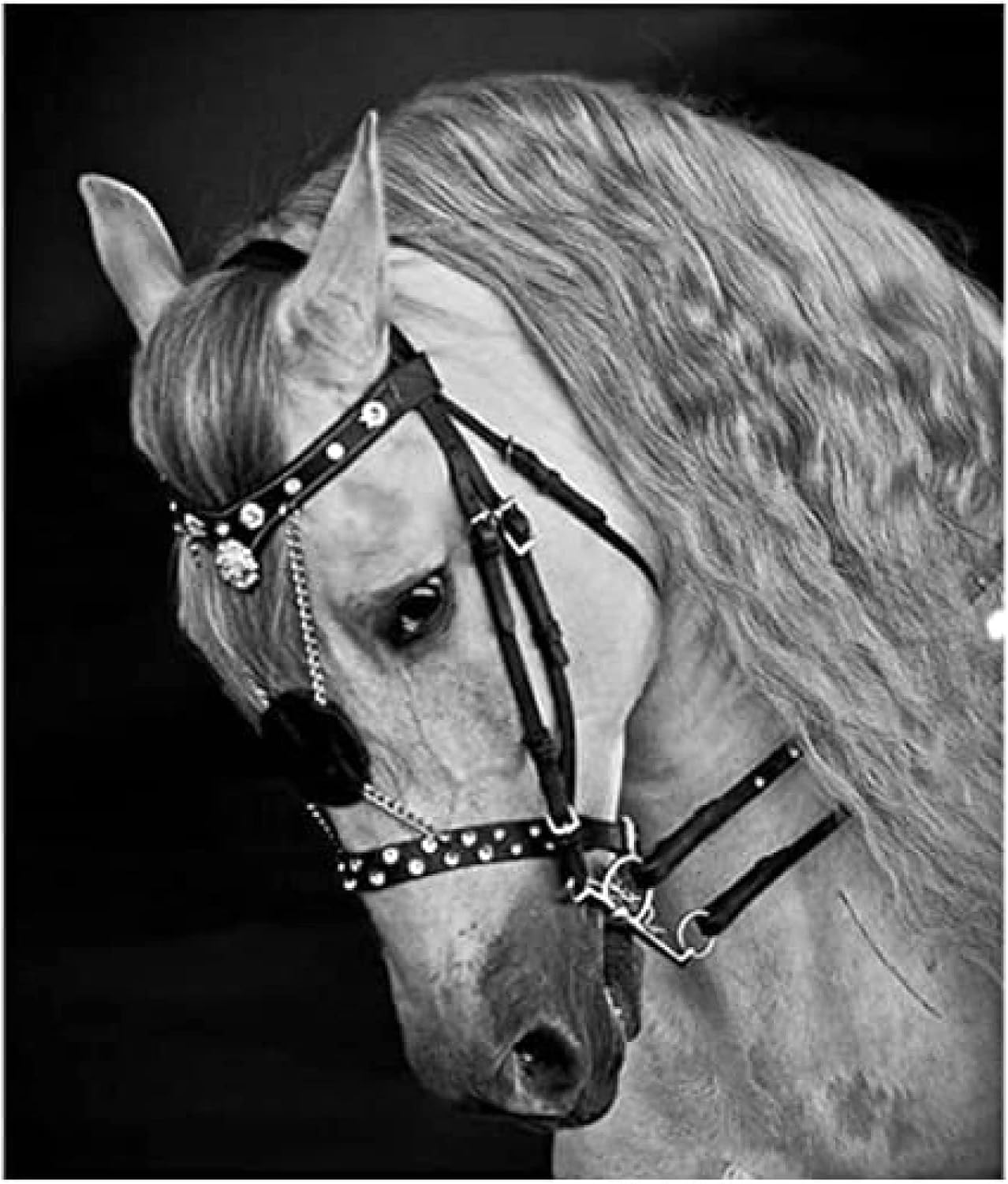 KRASS Horse Bridle with Rein - Equestrian Horse Bridles - Adjustable Horse Bridle Headcollar Equestrian Accessories Horse Saddle Accessories Halter Bridles for Horses,Collector88
