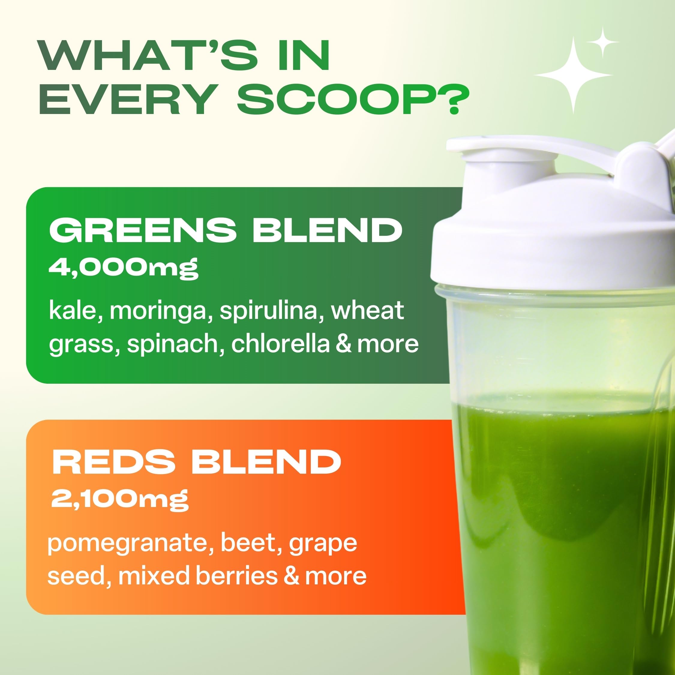 GOBIOTIX Super Greens Powder with Beet Root, Spirulina, Moringa & Chlorella – Probiotics, Enzymes & 21 Superfoods – Zero Sugar, Vegan, Non-GMO – 30 Servings (Mango) — Amazon image 9