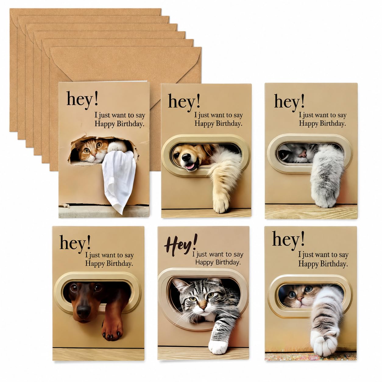 Funny Cat Birthday Cards for Women Men, 6 Pack Cute Cat Dog Themed Greeting Cards with Envelopes, Humorous Happy Birthday Cards for Family, Friends and Pet Lovers