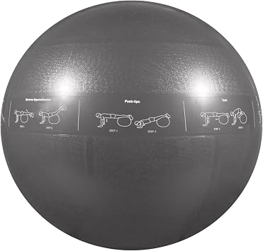 GoFit Professional Stability Ball 75cm Anti-Burst Exercise Ball for Core Strengthening, Balance Training, Yoga, Pilates & Physical Therapy, Non-Slip Surface, Hand Pump Included