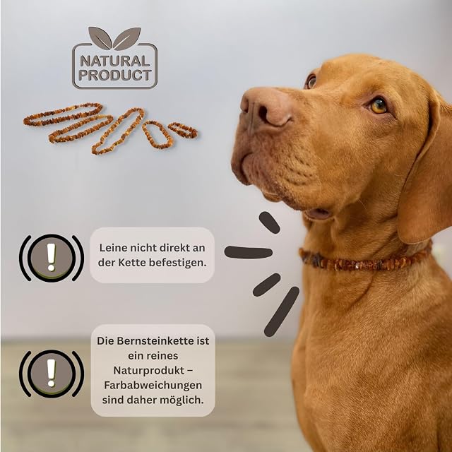 Foto 5 de 6 de Collar antipulgas PetLove para Perros y Gatos • 100% ámbar báltico • Collar antipulgas para Perros • Collar…