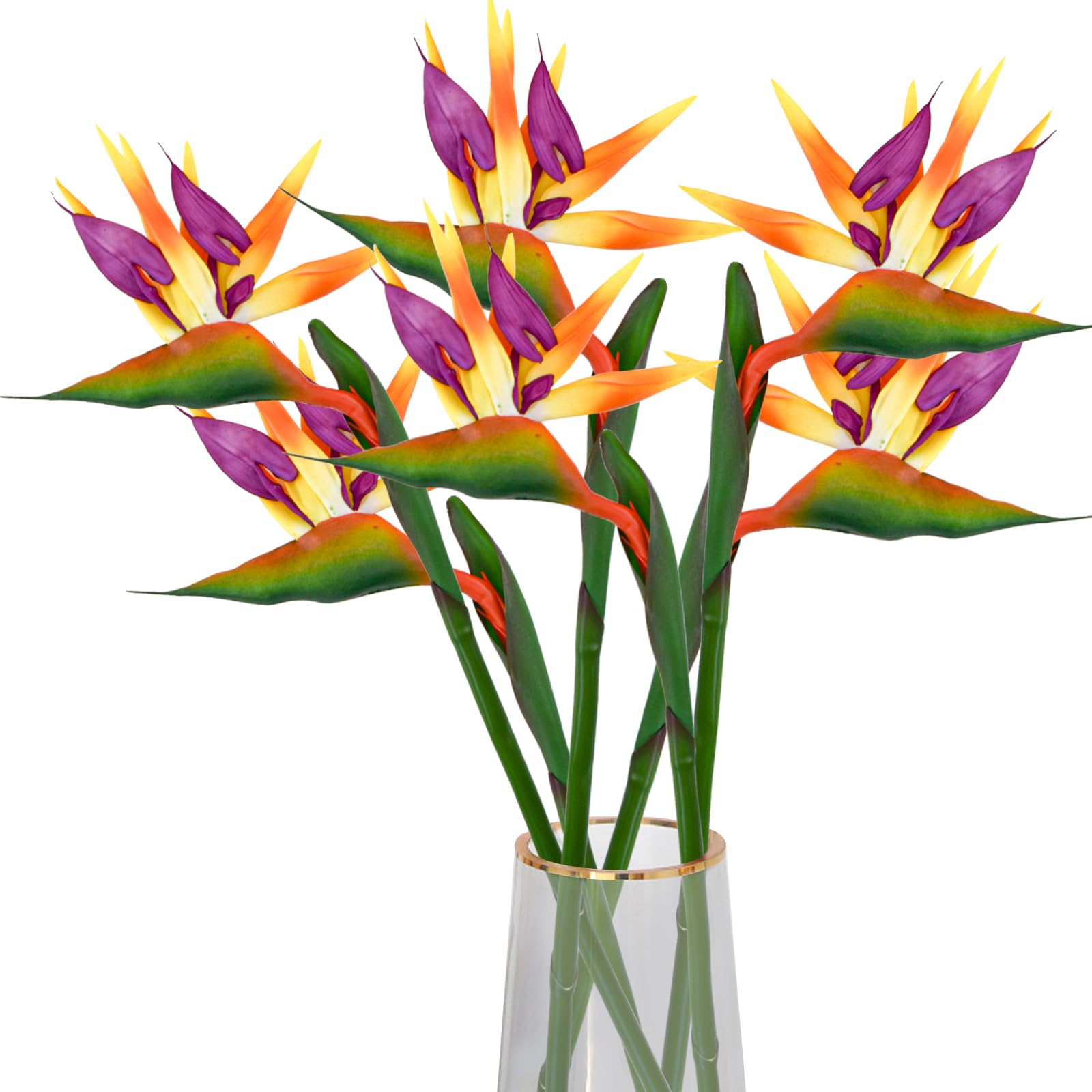 Amazon｜Bacucine 人工観葉植物 極楽鳥花 造花 6本 アーティフィシャル