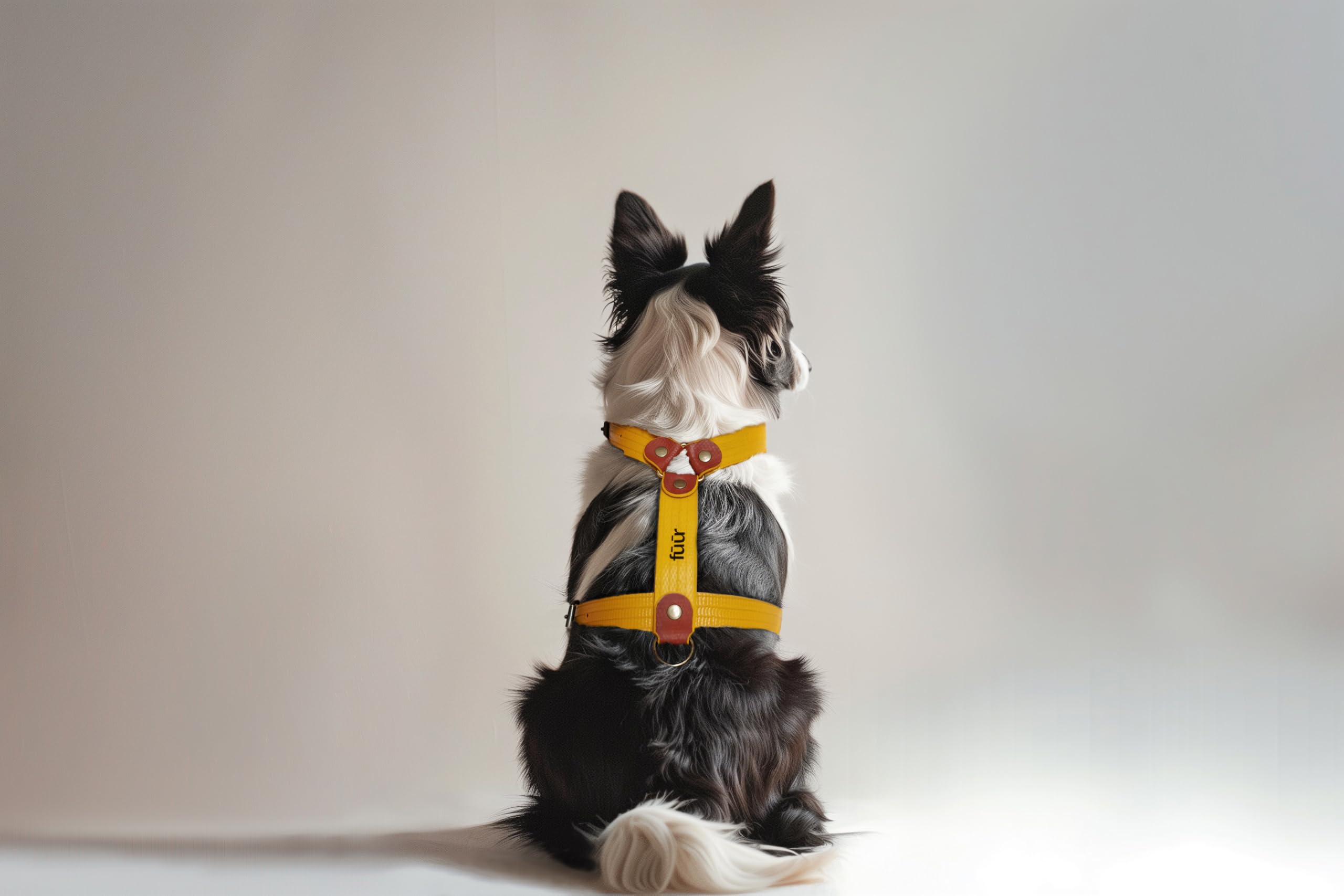 Arnés para Perros PILATUS M | Diseño Suizo Hecho a Mano en España | Mangueras de Bomberos Recuperadas de Suiza, España y Francia | Arnés Cómodo y Resistente
