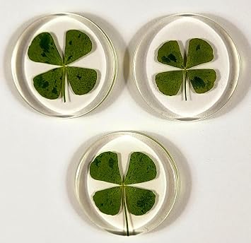 33mm Real Four Leaf Clover Shamrock in Round Crystal Clear Lucite Resin Token Specimen St.Patrick's Day Lucky Leaf Coin Gift Crafts Collection for Botany Science Education & Desk Ornament Display
