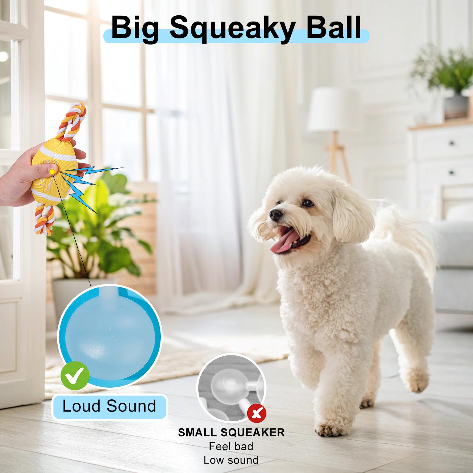 BEAUTYZOO Schwimmendes Hundespielzeug für kleine/mittelgroße Hunde – langlebiges kaubeständiges Quietschendes Wasser-Hundespielzeug mit Seil, interaktives Apportieren & Tauziehen, Sommerschwimmen