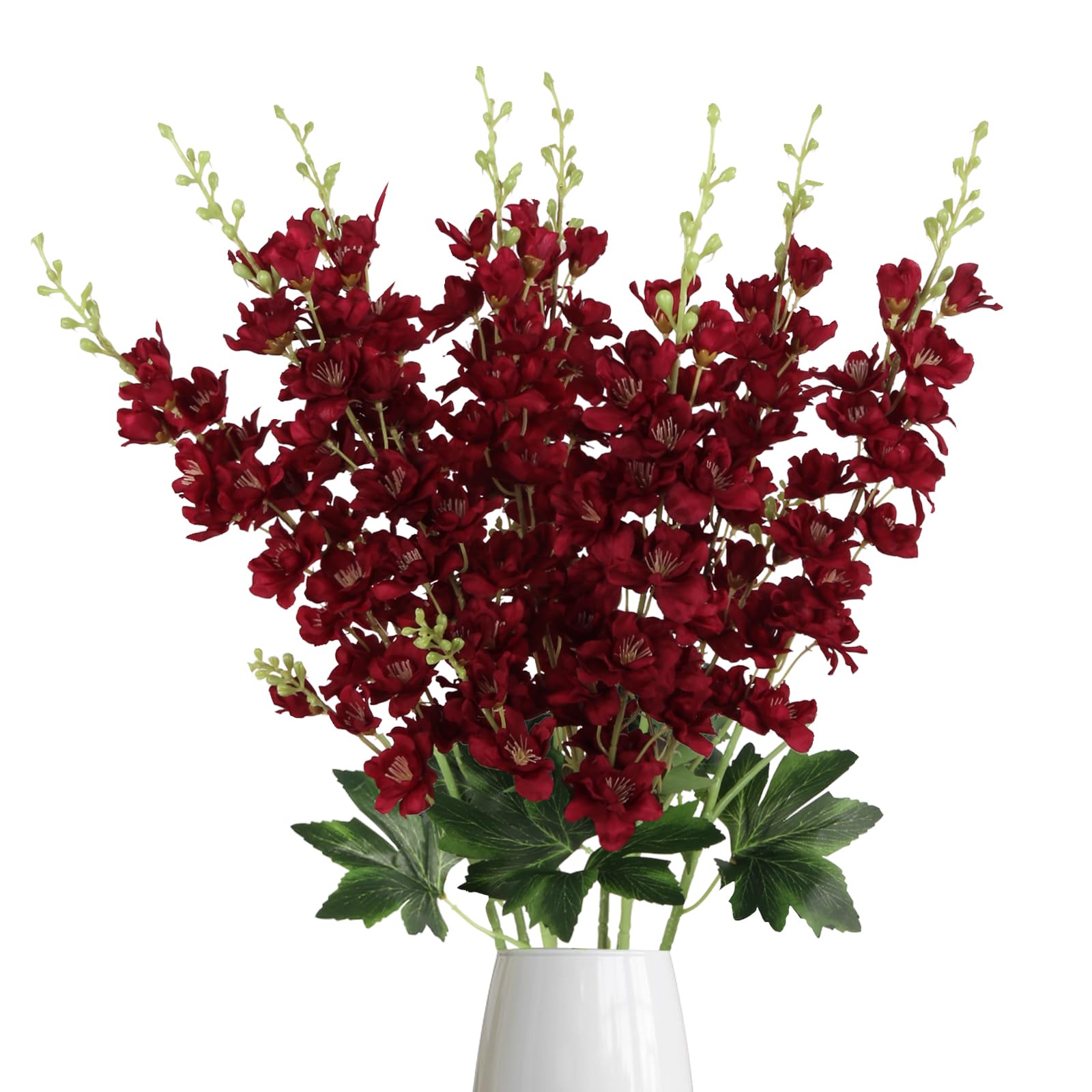 Fqueelvys Burgundy Delphinium 8 pack