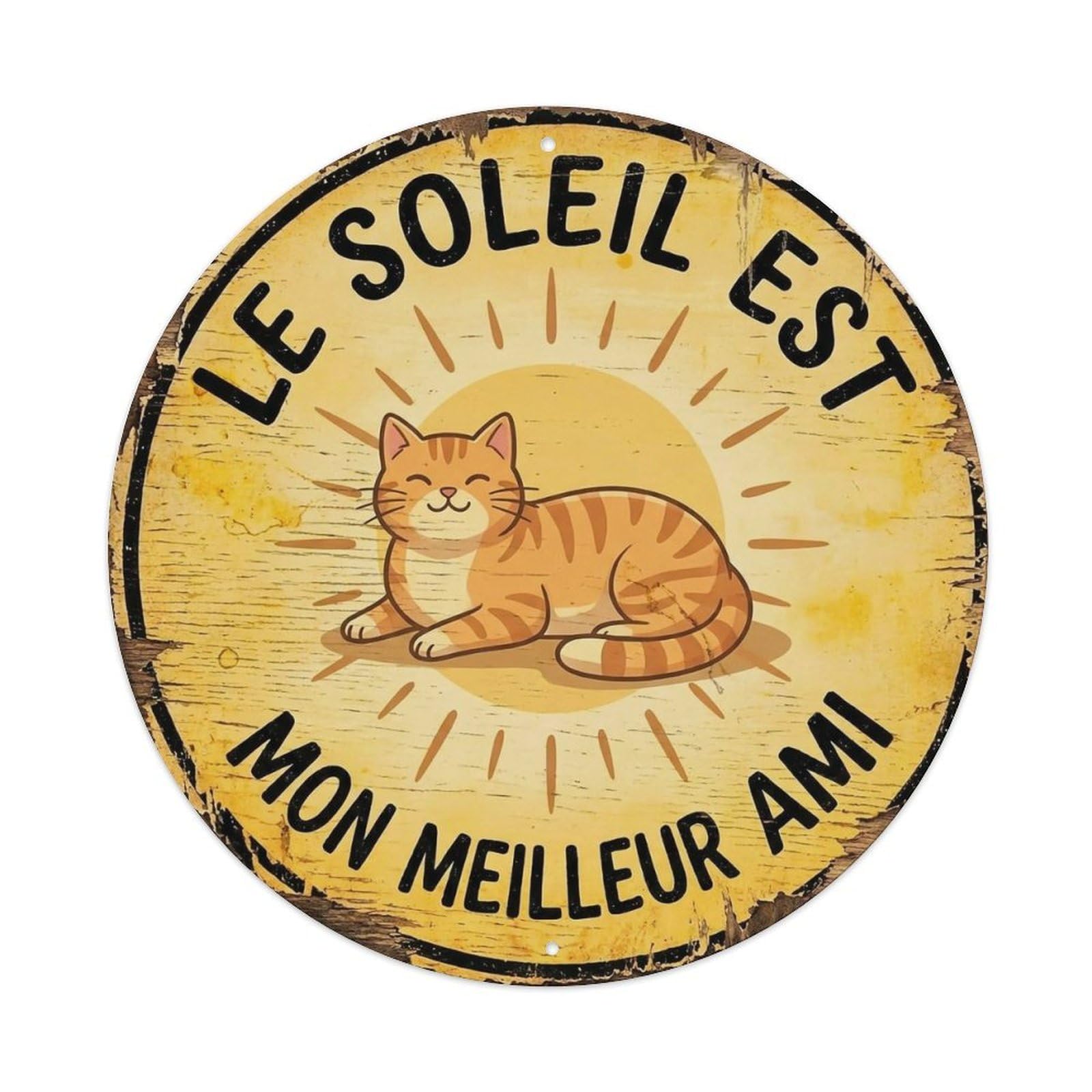 Cat Sunbathing Round Wall Hanging Metal Tin Sign