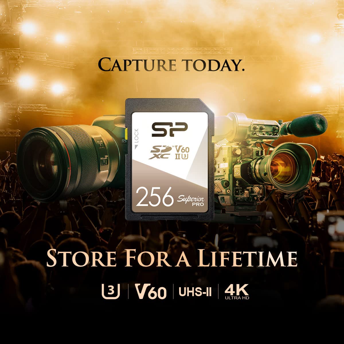 Silicon Power - Paquete de 2 tarjetas de memoria SDXC Superior Pro UHS-II de 256 GB V60 R/W hasta 280/170 MB/s