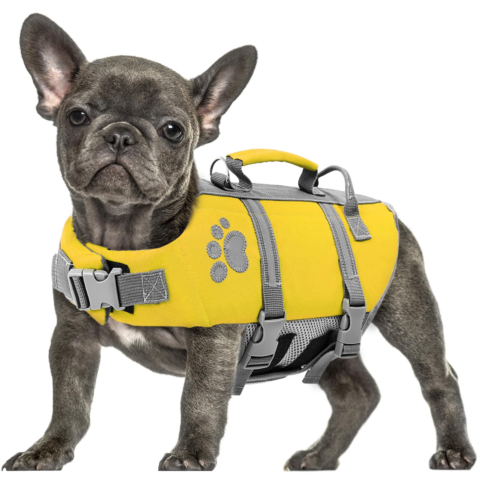 Queenmore Salvagente Cane Taglia Grande Xl Giubbotto Salvataggio, Leggero, Regolabile, Riflettente, Per Cani Grandi, Cani Accessori Per Piscina, Giallo, XL
