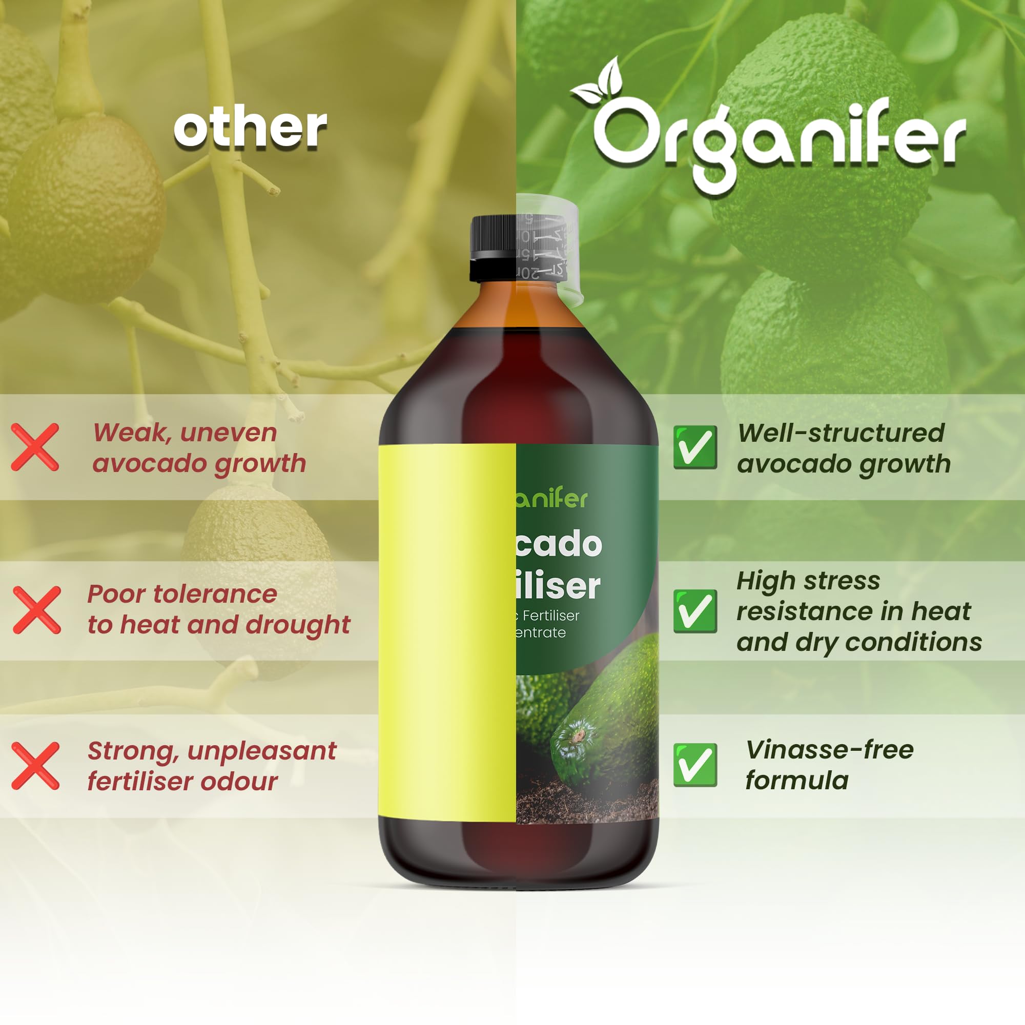 Engrais Liquide pour Avocatier, 1L, Organique, pour Arbres Robustes et Feuilles Saines