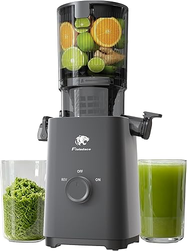 Exprimidor de prensa en frío T33, exprimidor de masticación lenta de conducto de alimentación grande de 5.3 pulgadas, potente motor sin escobillas