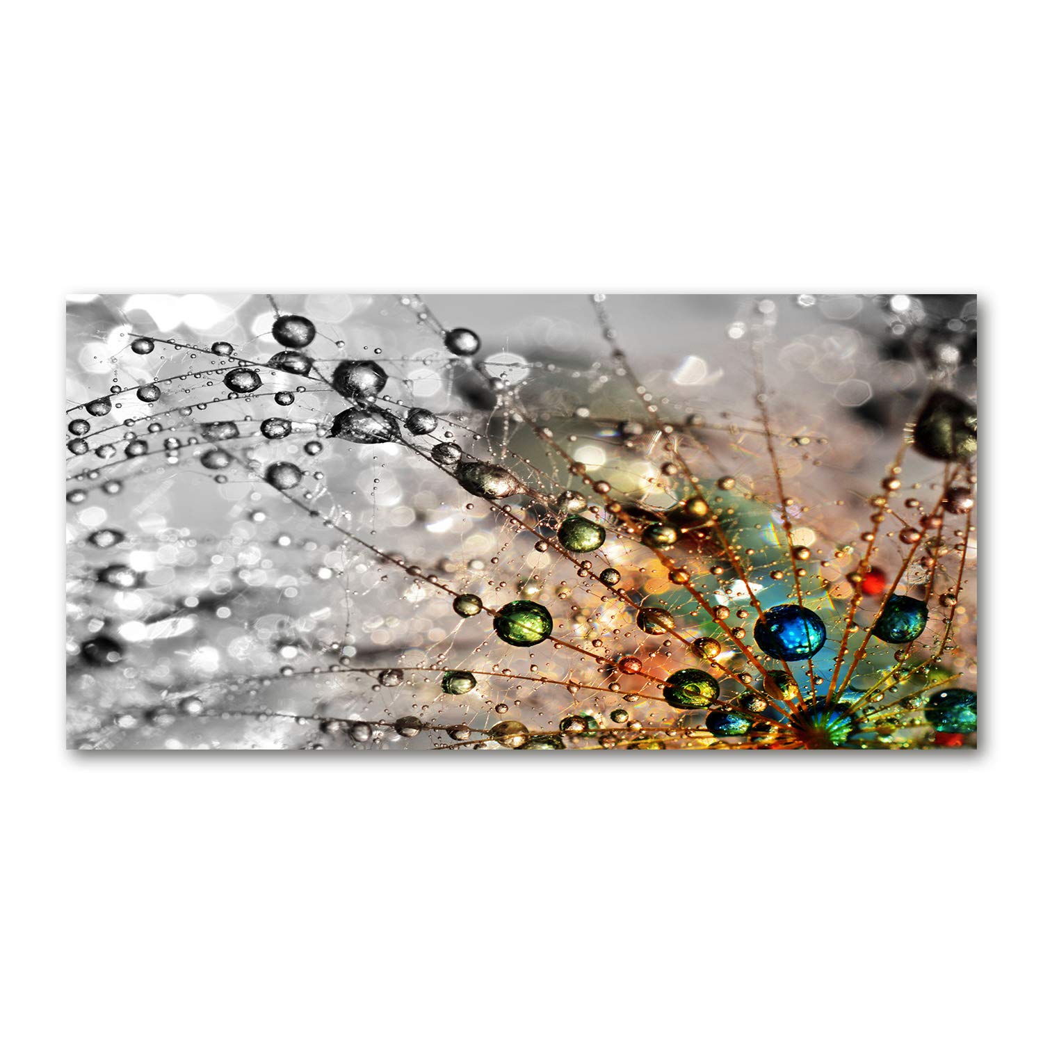 Tableau en verre acrylique 140x70 cm avec motif de graines de pissenlit Tulup