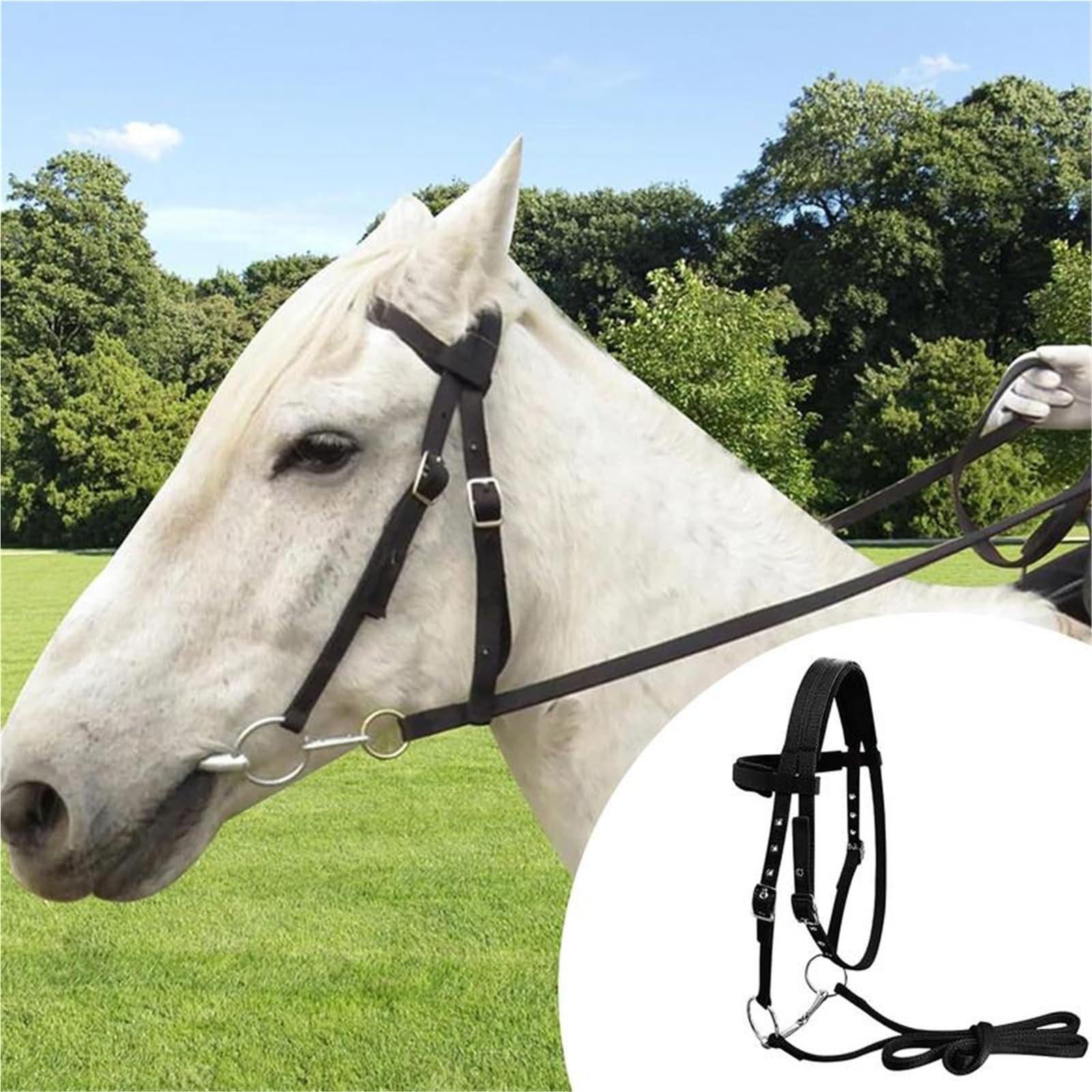 Halfter Für Pferde Pferdestirnband-Kehlriegel mit 3 Schnallen, Kopfstück-Führseil for den Bauernhof(Black S)