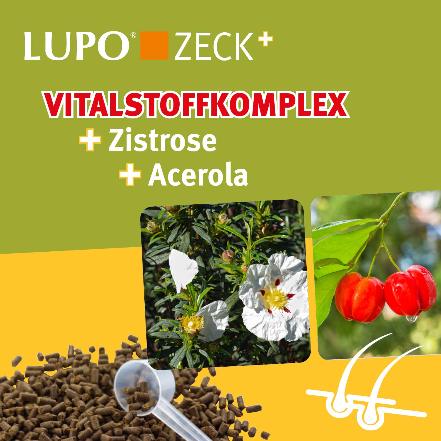 Lupo ZECK+ - Karma uzupełniająca z Cistus incanus & Acerola - 1100g