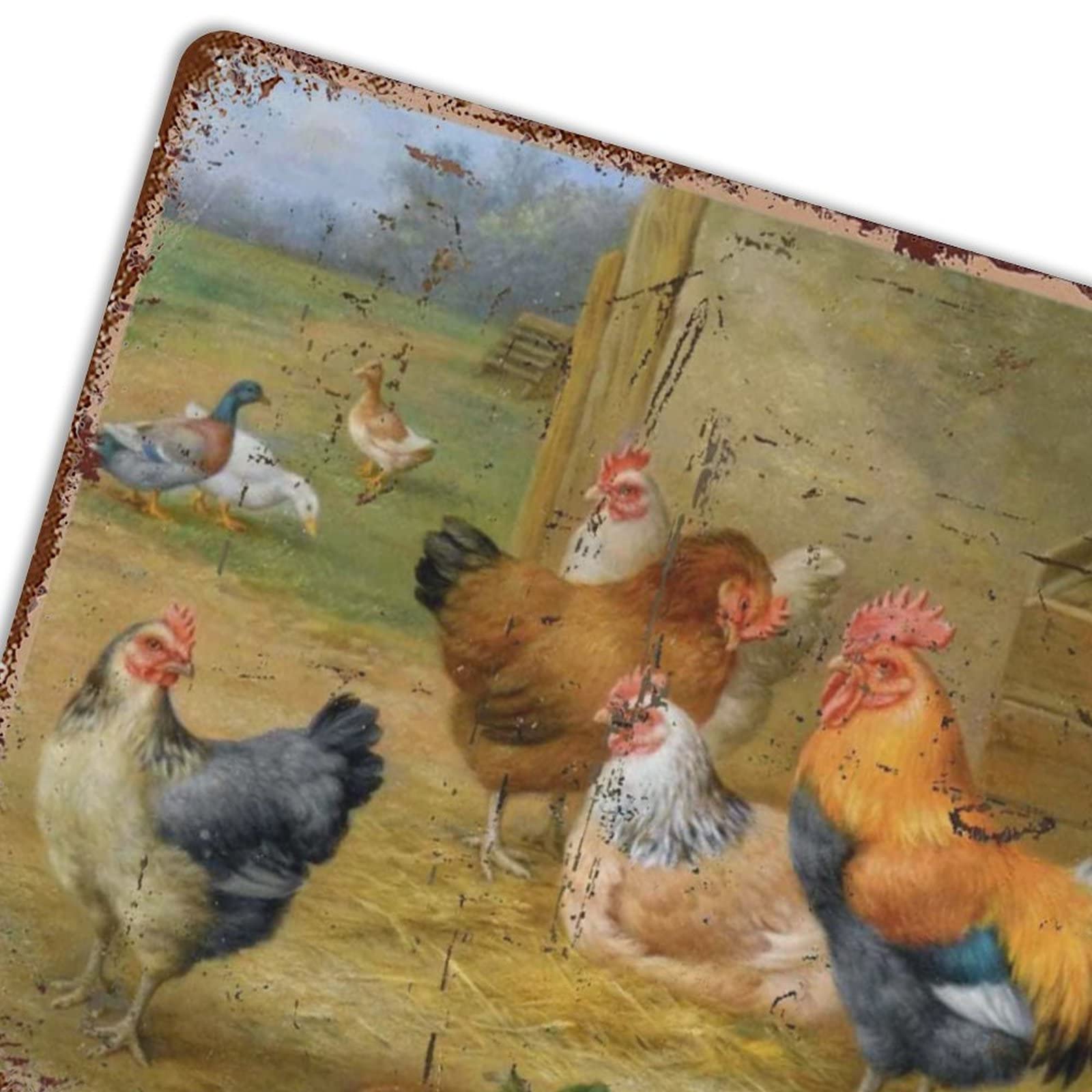 Decorazioni per il pollo Divertenti targhe per il bagno
