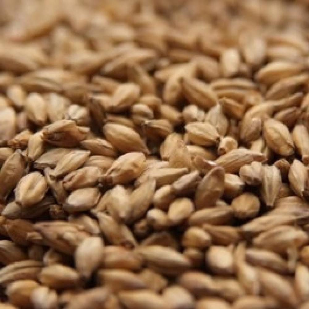 Muntons Maris Otter - 1 LB, Crushed