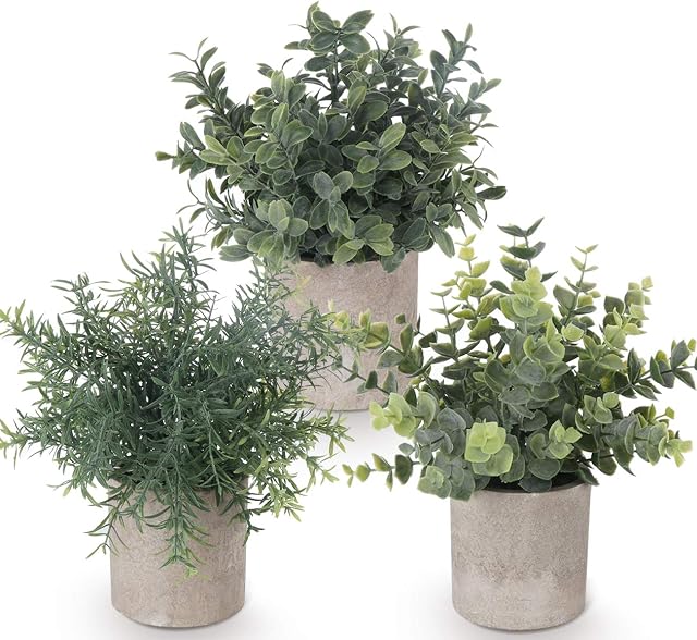 ilauke Set of 3 Mini Potted Artificial Plants Plastic Eucalyptus Plants Faux Rosemary Plants for Home Garden Office Desk Shower Room Decoration