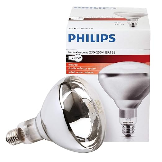 Buy PHILIPS 250W E27 230250V Infrared Heating Lamp. Online at Low Prices in India Amazon.in