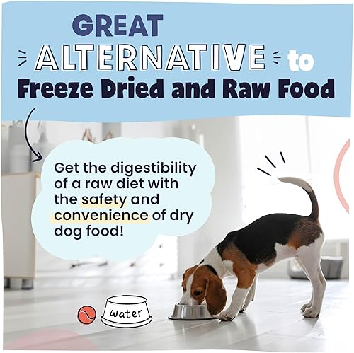 Miniatura 5 de Pawstruck Alimento natural secado al aire para perros con carne de res real, sin granos, fabricado en Estados Unidos, sin OMG y recomendado por