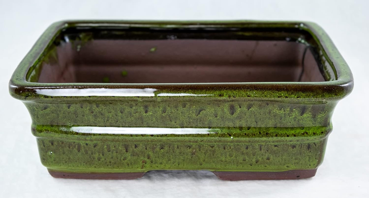 Rectangular Bonsai/Cactus & Succulent Pot with Mesh 10x 8x 3.25 - Moss Green Glazed