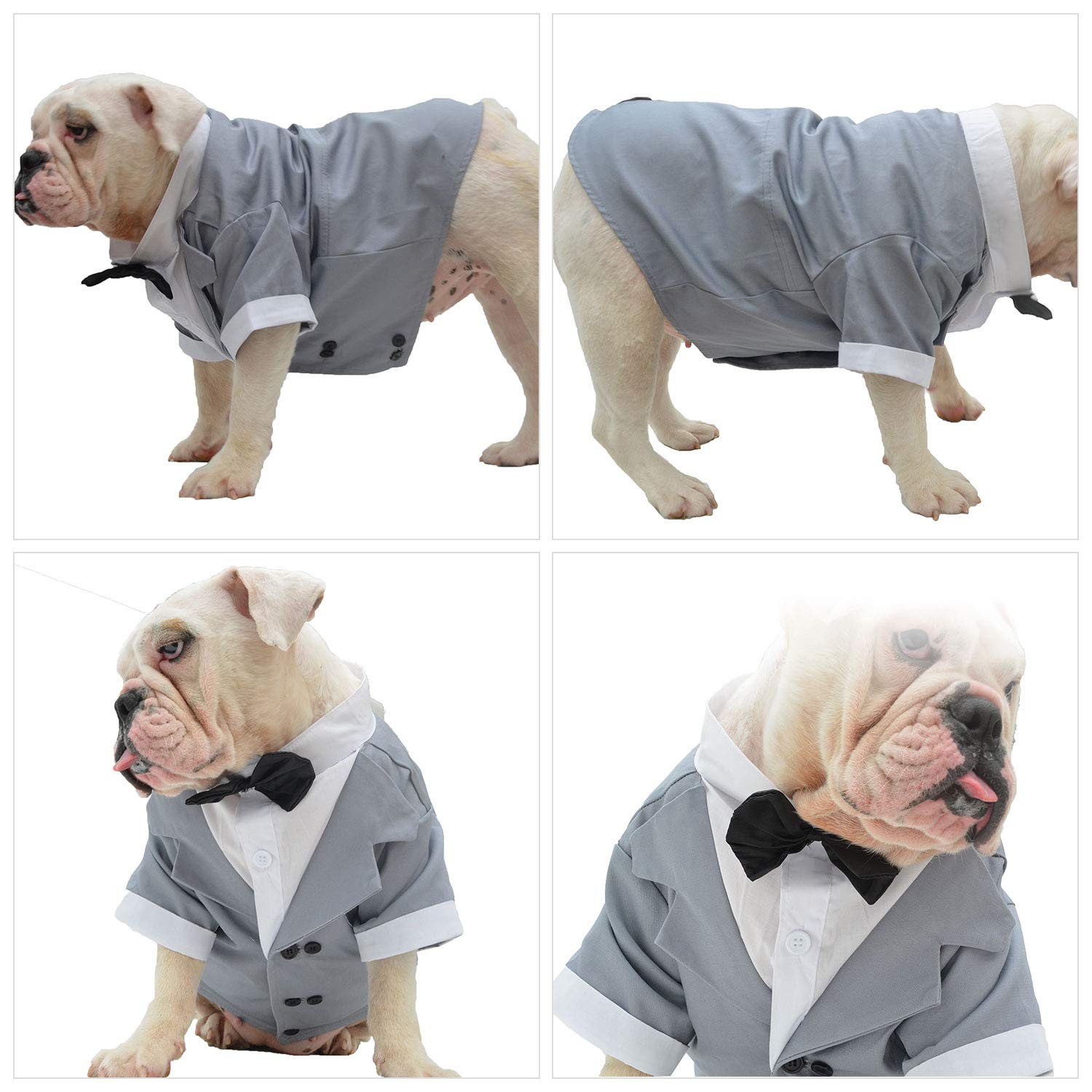 Lovelonglong Bulldog Costume Dog Suit Formal Tuxedo with Black Bow Tie Wedding Clothes for Pugs/French Bulldog/English Bulldog/American Pit Bull Gray B-XL - Image 4