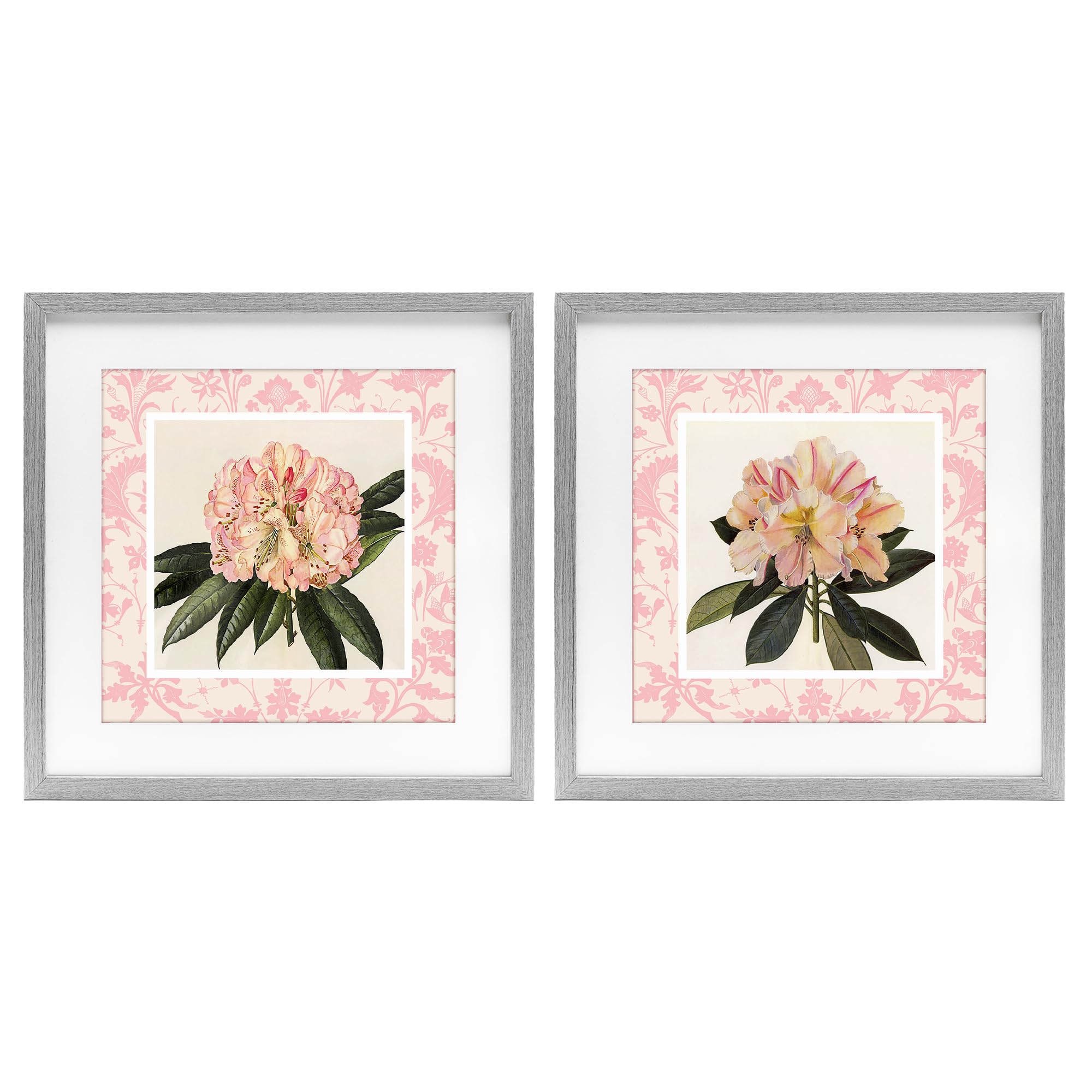 Stupell Industries Farmhouse Gray (Textured) 'Pink Vintage Pattern Botanicals'| 2Pc Framed Print Under Glass Set