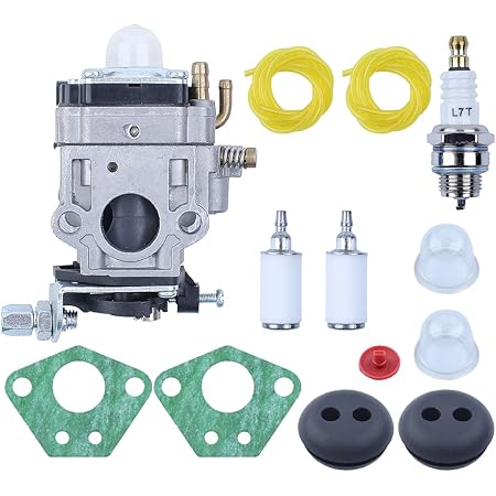 Carburatore Carb & Guarnizione Per Gas 2 Cicli 43cc Powermate - Foto 9