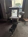 Review Image by Amazon Extraordinaire