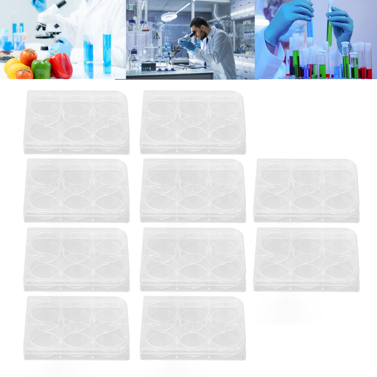 Yctze 10pcs Plaques de Culture Tissulaire Hautement Transparentes avec Fond Plat et Couvercle pour Une Utilisation - Orm épais pour la Cellule Due et Expérimentale (6 Trous)