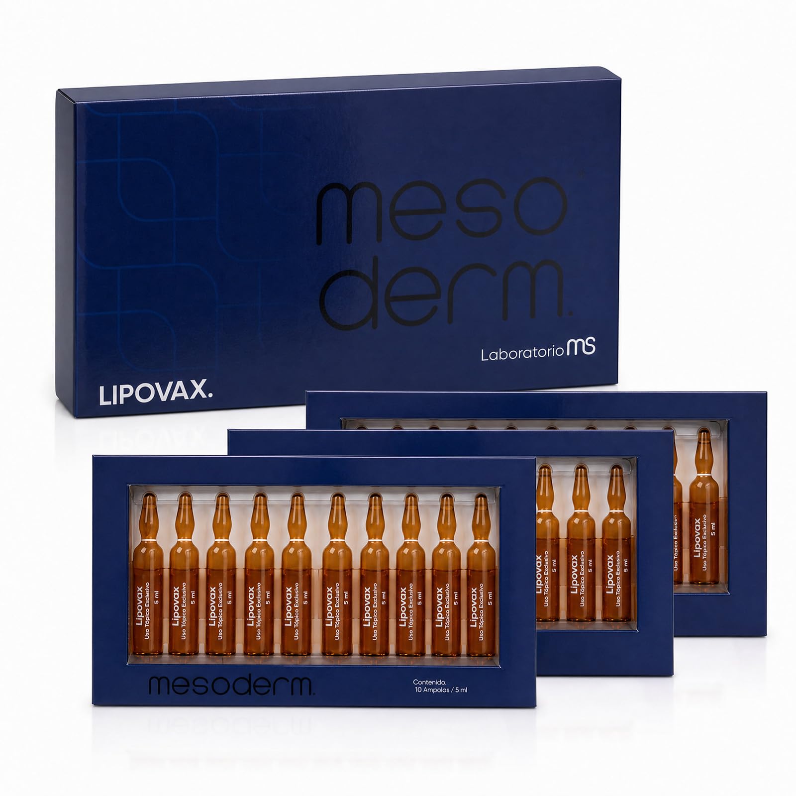 l carnitina uso topico Mesoderm Lipovax | Bioactivador Cosmético Corporal Profesional | L-Carnitina,  Coenzima Q10, Vitamina B12, Ácido Alfa Lipoico y Silicio Orgánico