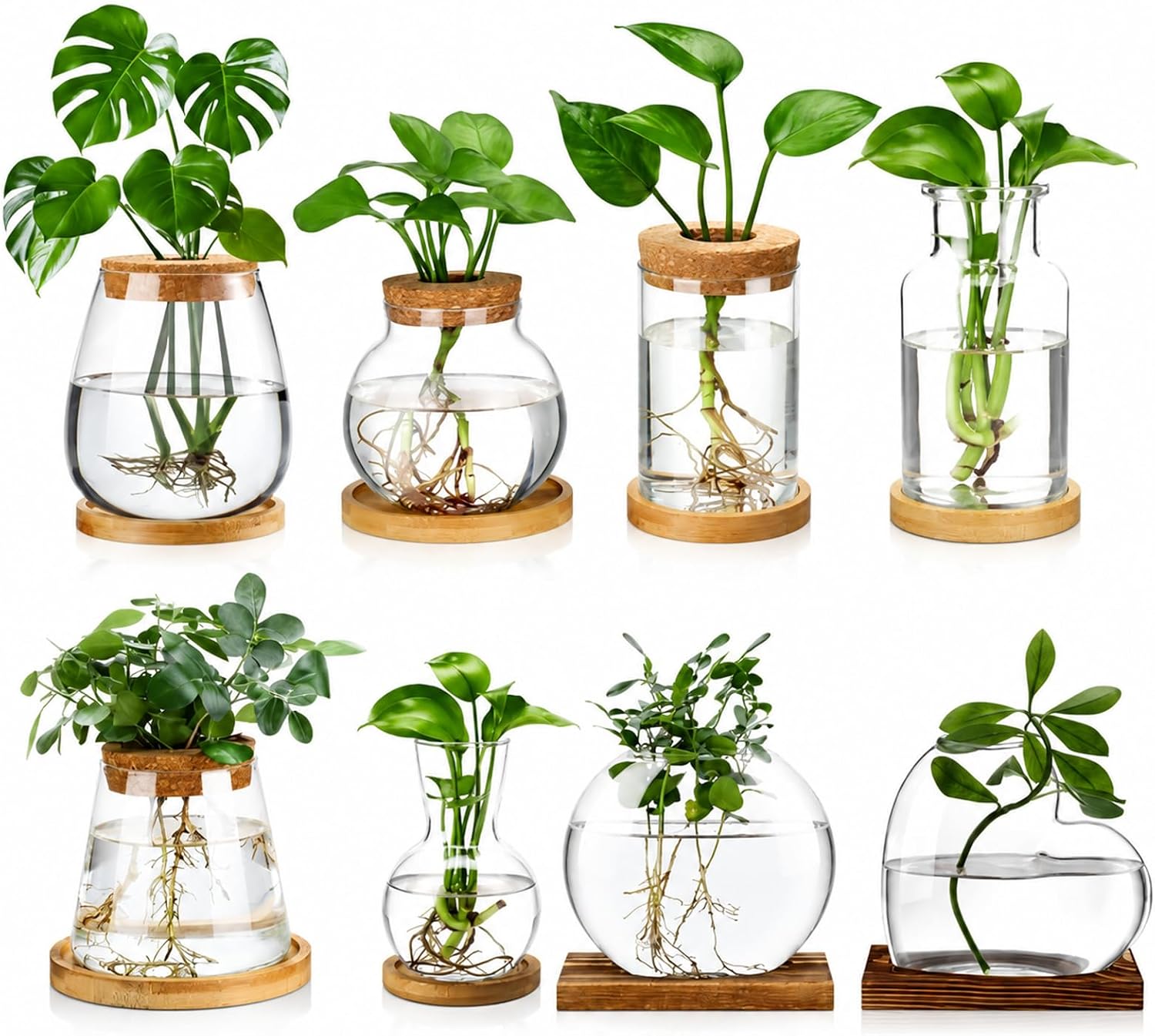 Honeydak 8 Pcs Plants Propagation Stations Planter Terrariums with Wooden Lid and Bamboo Stand Desktop Glass Propagation Vases for Plant Growing Hydroponic Home Office Tabletop Decoration