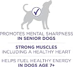 Purina ONE +Plus Dry Senior Dog Food, Healthy Aging 7+ with Chicken - 6 kg Bag
